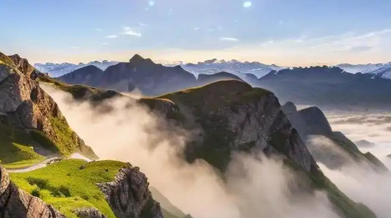 山东白马物流运输有限公司轮播图3