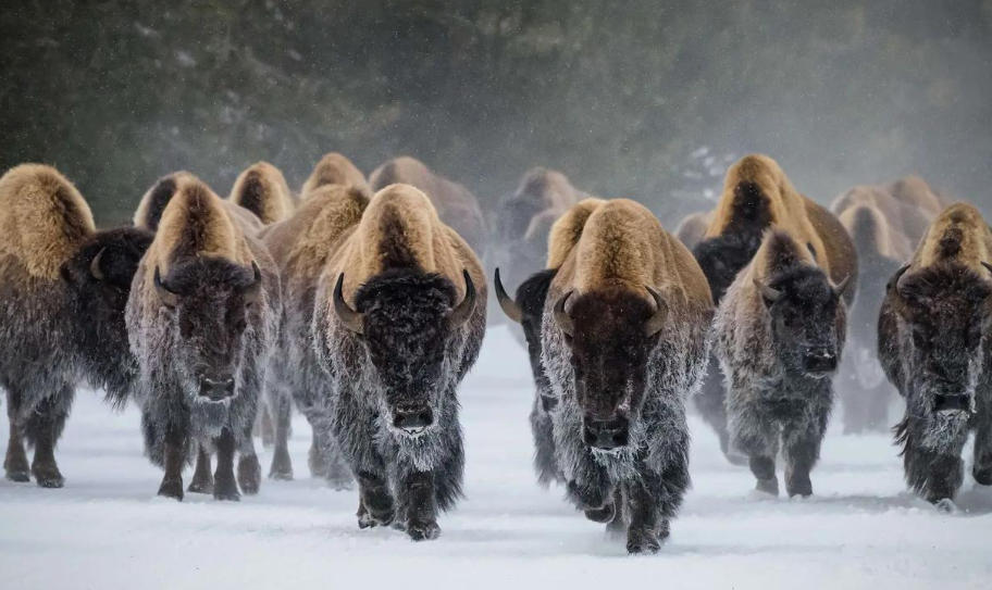 山东白马物流运输有限公司轮播图3